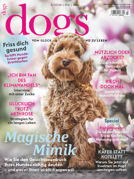 Cover für dogs