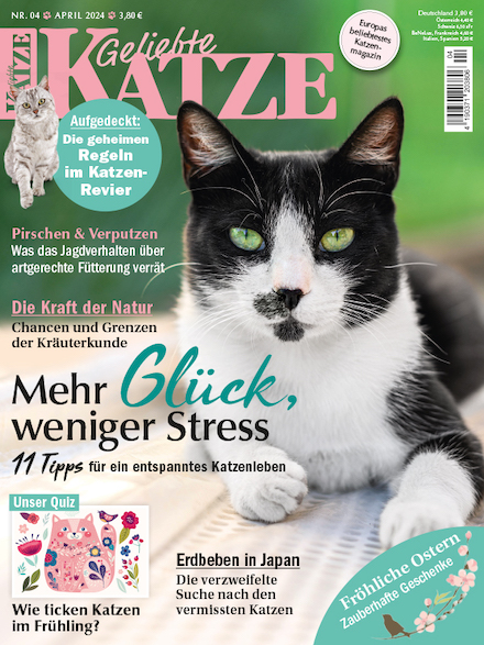 Cover für Geliebte Katze